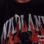 Саша, 44 года